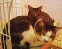 新しいお家を探して